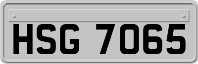 HSG7065