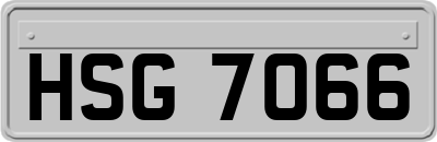 HSG7066