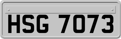 HSG7073