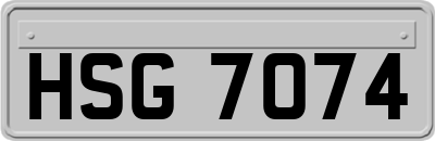 HSG7074