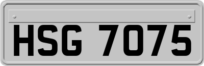 HSG7075