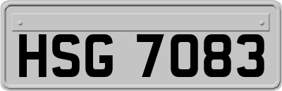 HSG7083