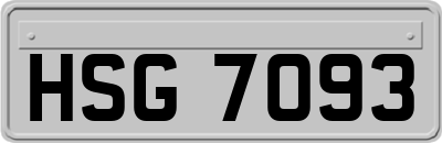 HSG7093