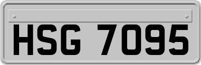 HSG7095