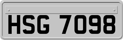 HSG7098
