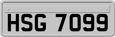 HSG7099