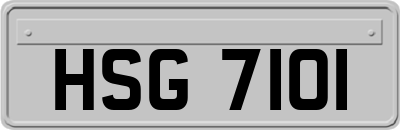 HSG7101