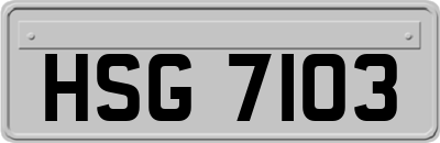 HSG7103