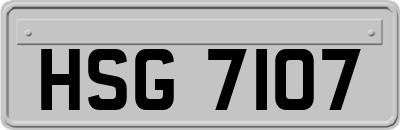 HSG7107