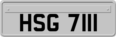 HSG7111