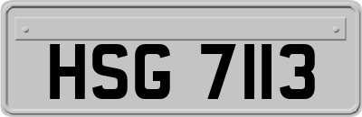 HSG7113