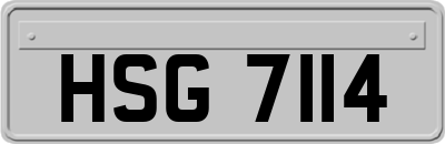 HSG7114
