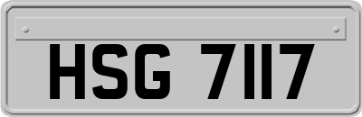 HSG7117