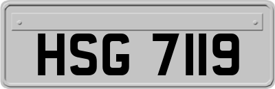 HSG7119