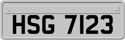 HSG7123