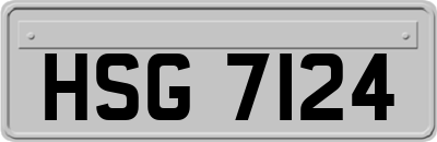 HSG7124