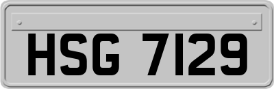 HSG7129