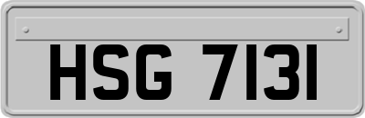 HSG7131