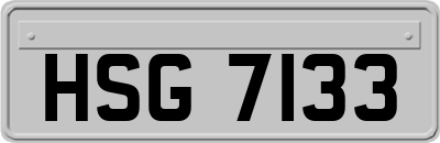HSG7133