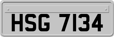 HSG7134
