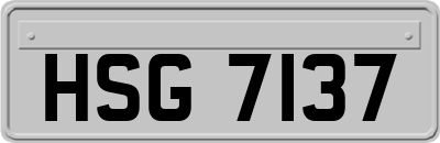 HSG7137