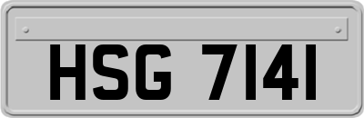 HSG7141