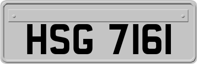 HSG7161