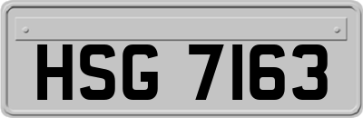 HSG7163