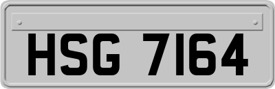 HSG7164