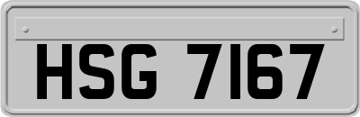 HSG7167