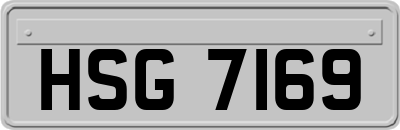 HSG7169