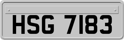 HSG7183