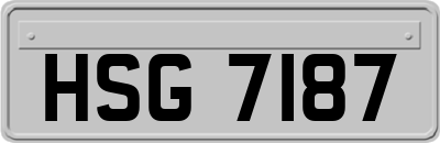 HSG7187