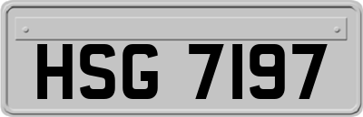 HSG7197