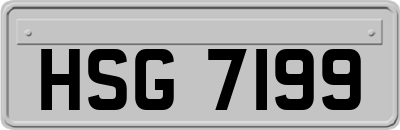 HSG7199