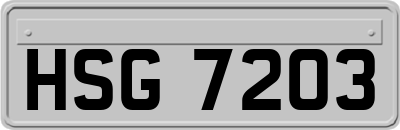 HSG7203