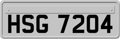HSG7204