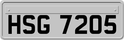 HSG7205