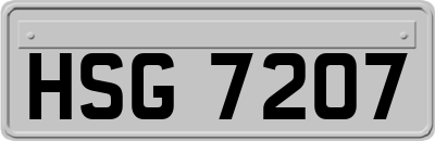 HSG7207