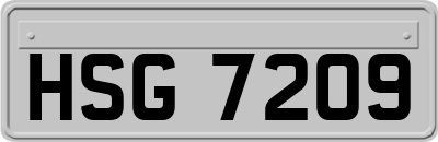 HSG7209
