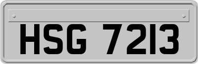 HSG7213