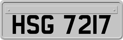 HSG7217