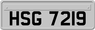 HSG7219