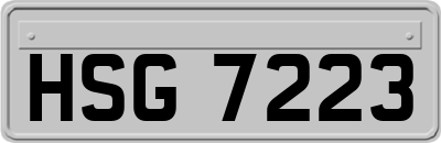 HSG7223