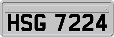 HSG7224