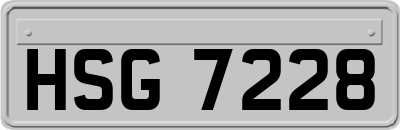 HSG7228