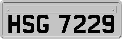 HSG7229