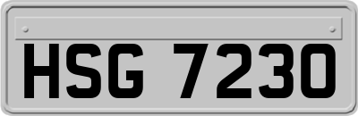 HSG7230