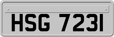 HSG7231
