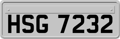 HSG7232